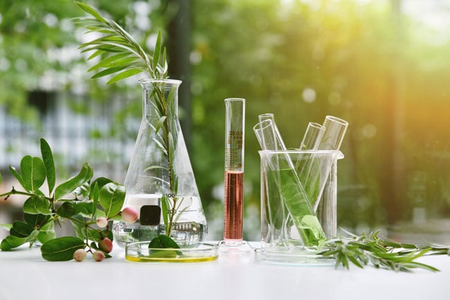 natural face care products