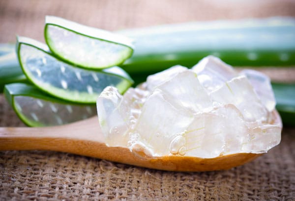 Aloe vera extract has many great benefits in cosmetic skin care products