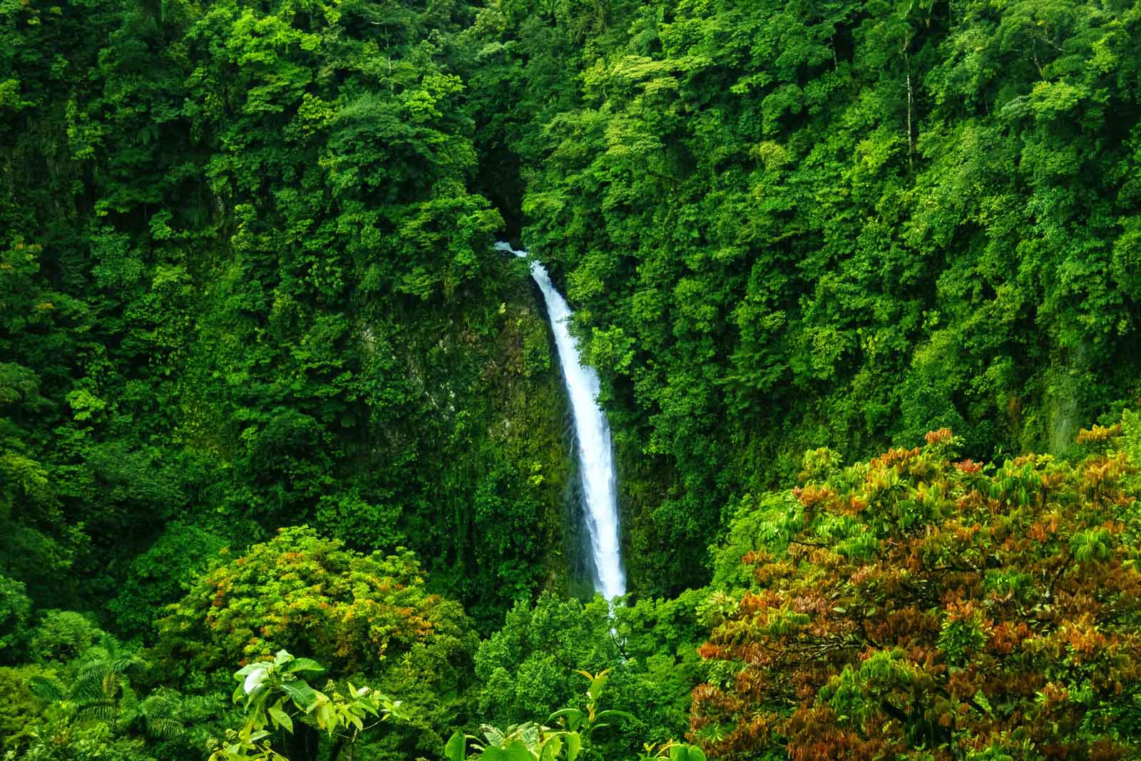 Cascada_Landscape_DEF Cascada_Landscape_DEF