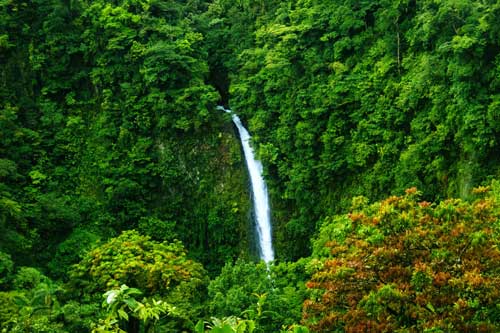 Cascada_Landscape_final_MOBILE Cascada_Landscape_final_MOBILE